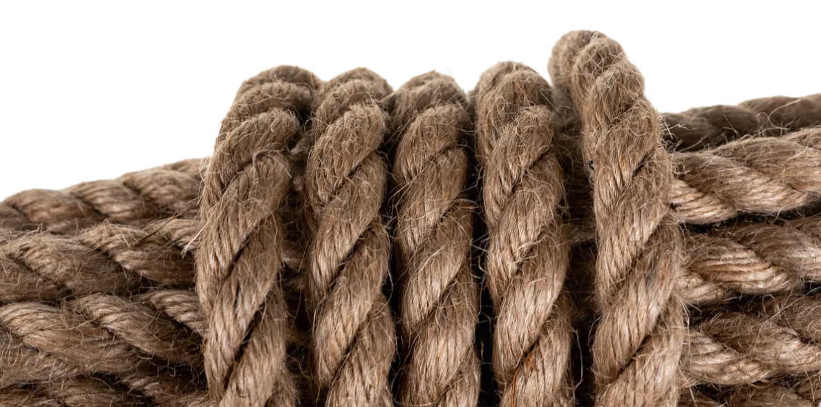 Remove-bg.ai_1744985478943