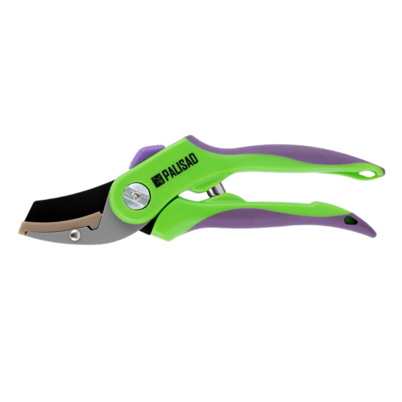 Remove-bg.ai_1750771173492