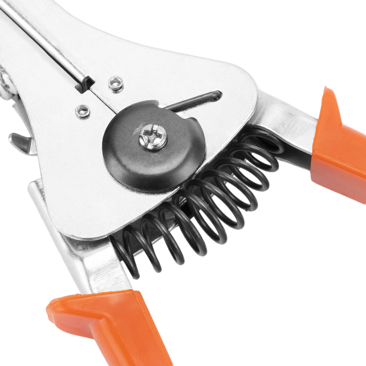 Remove-bg.ai_1751017449773