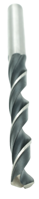2025-06-06_11-00-50-no-bg-preview (carve.photos)