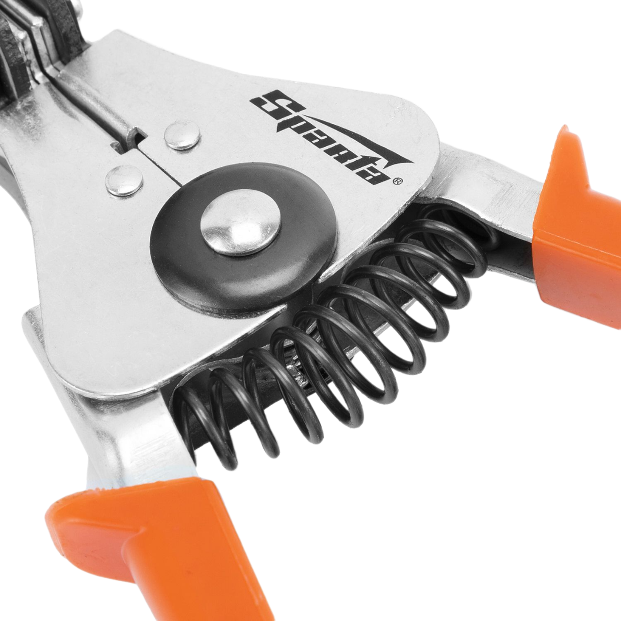 Remove-bg.ai_1751017447734