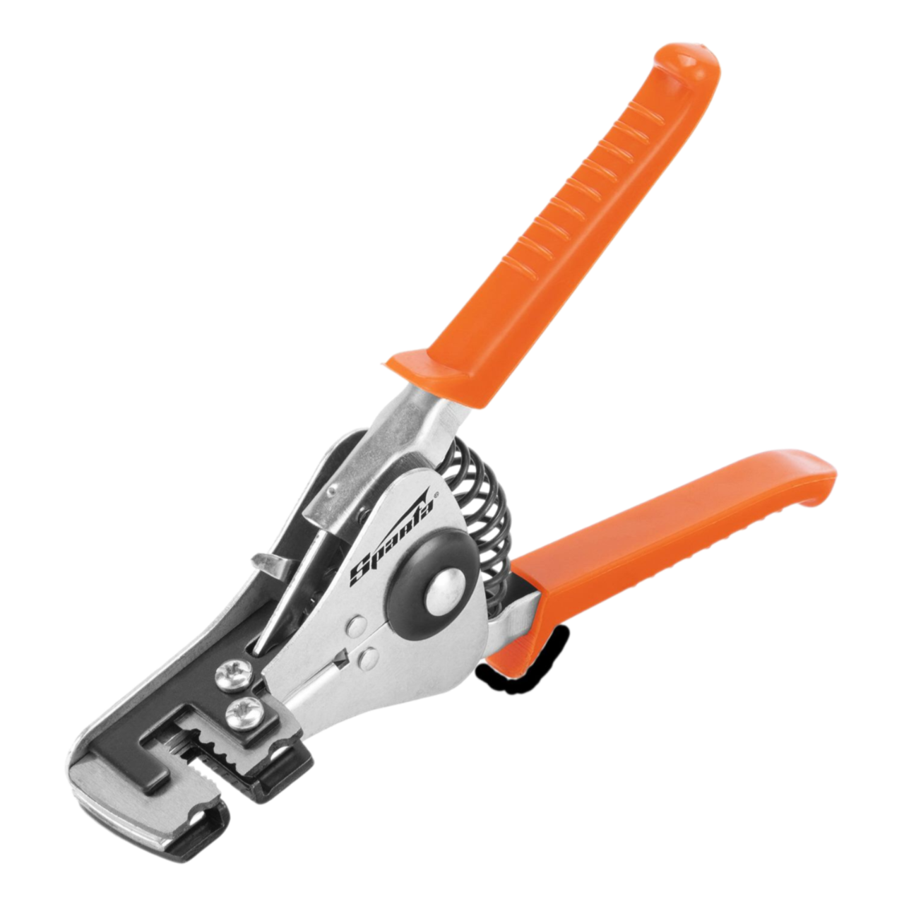 Remove-bg.ai_1751017443277