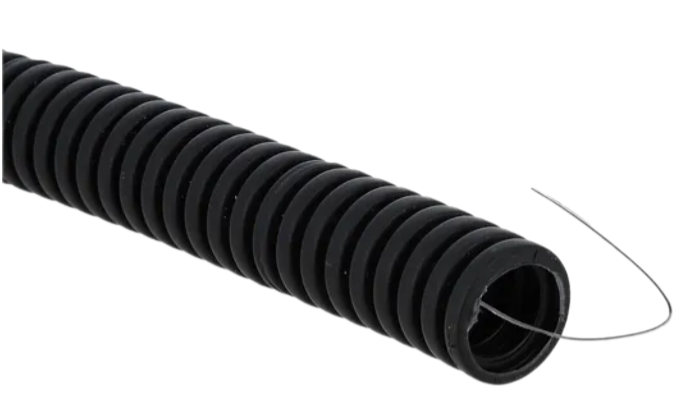Remove-bg.ai_1750938724737