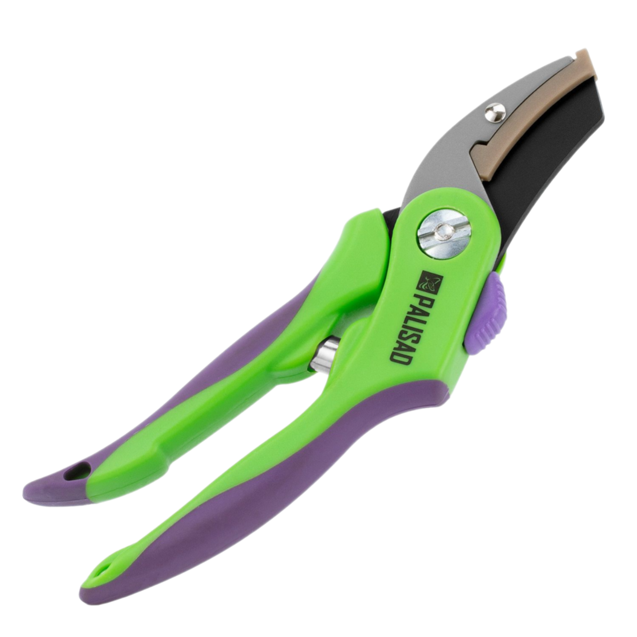 Remove-bg.ai_1750771171789