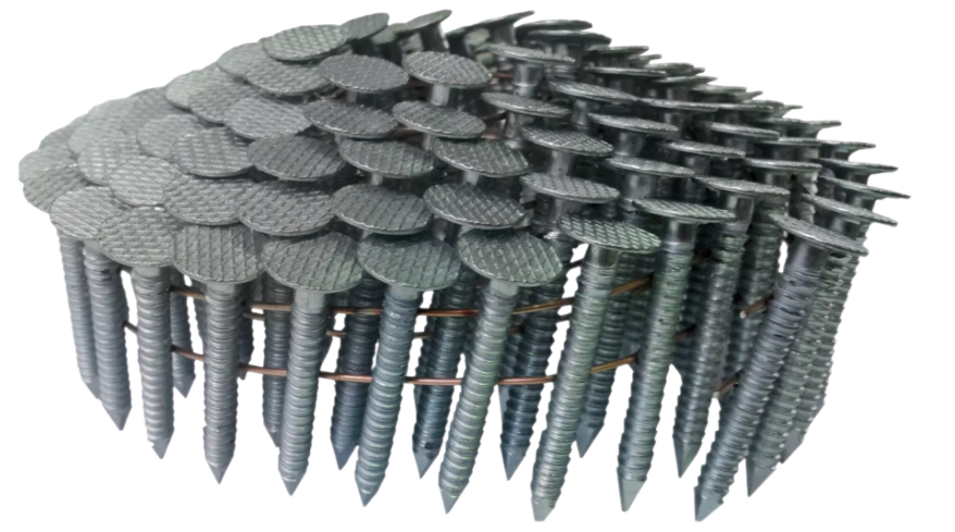 Remove-bg.ai_1745314764566