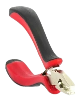 Remove-bg.ai_1749119622534
