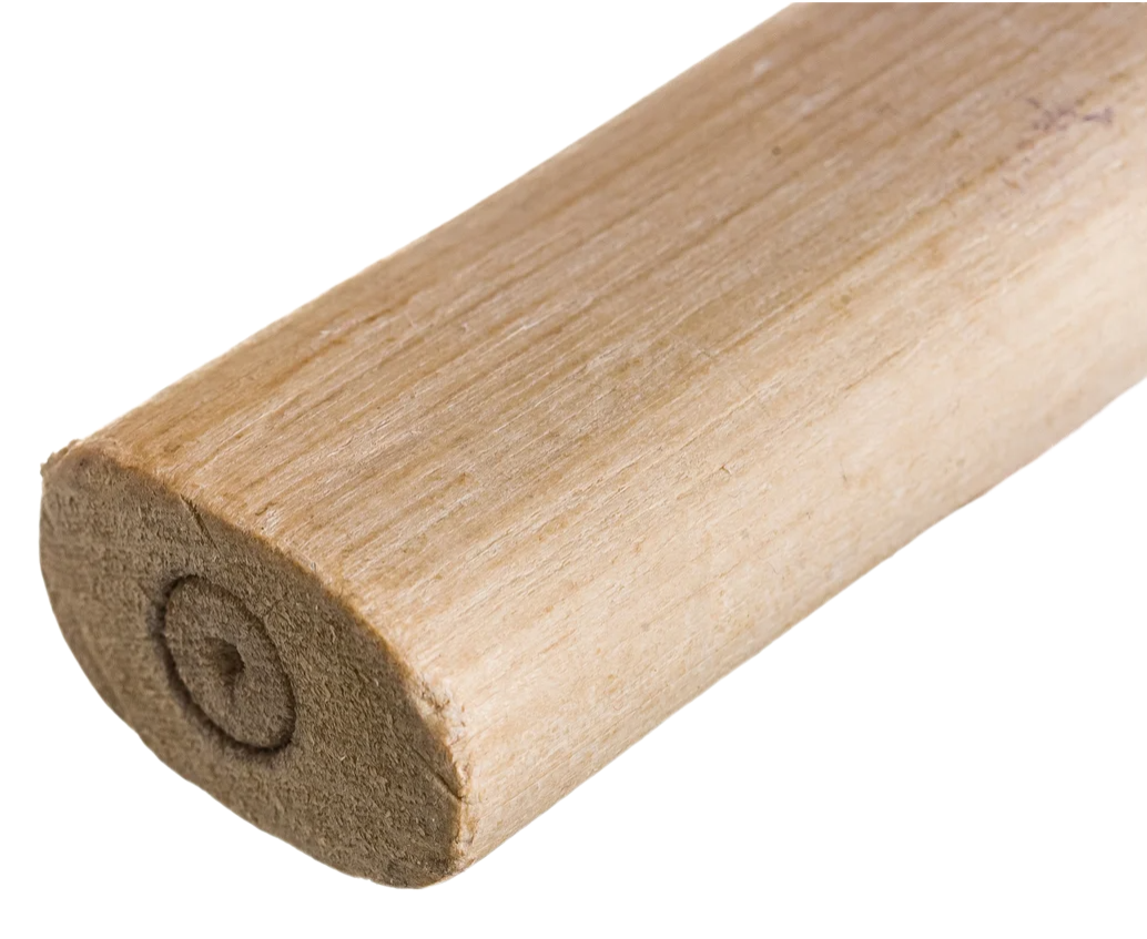 Remove-bg.ai_1749132679838