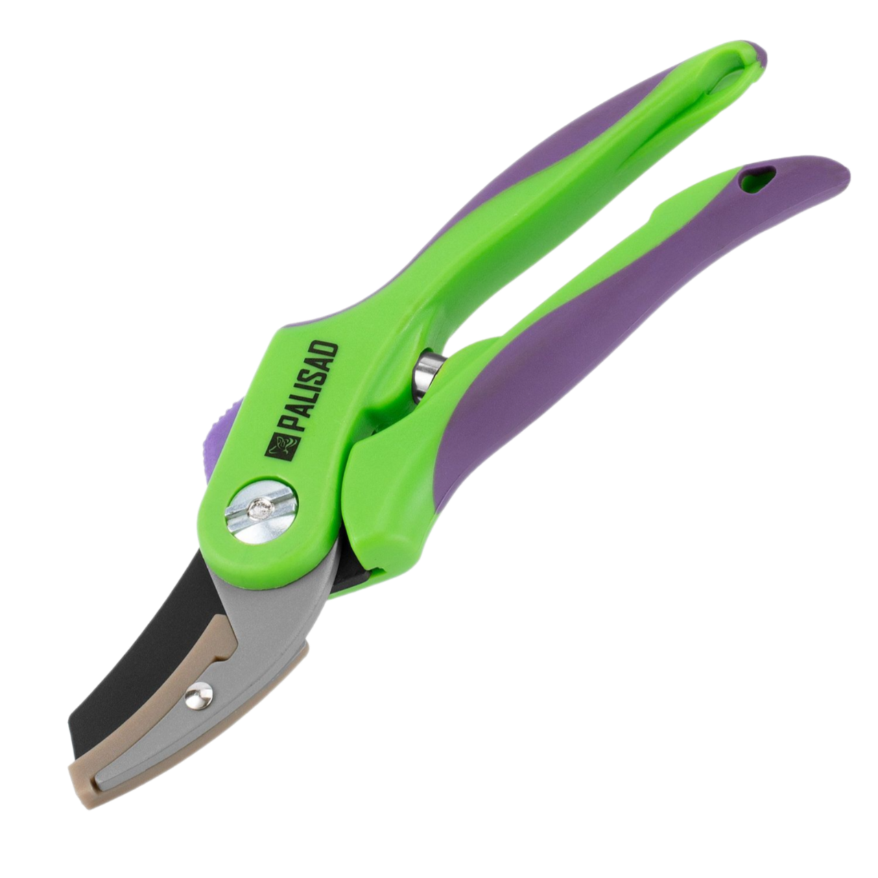Remove-bg.ai_1750771169938