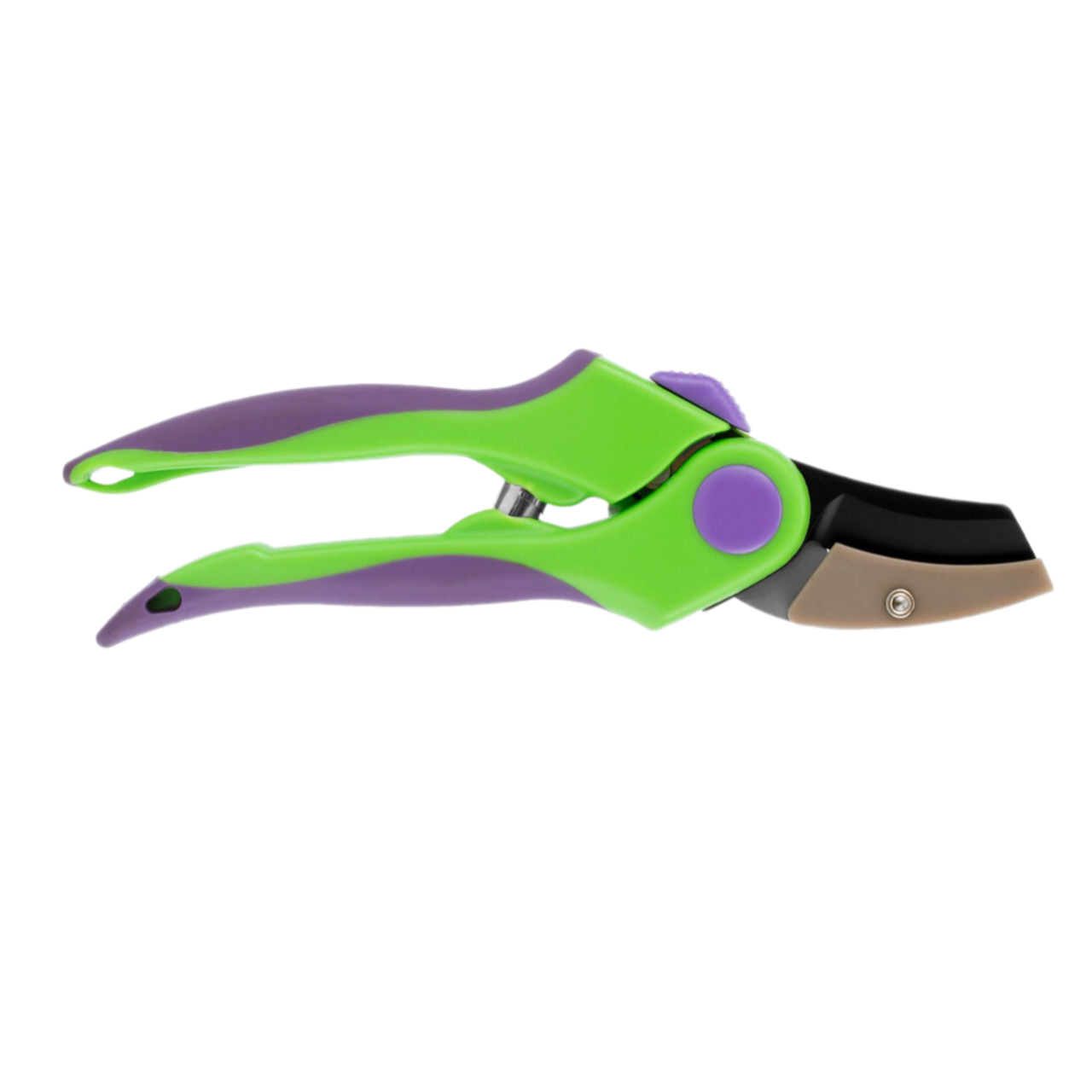 Remove-bg.ai_1750771175111