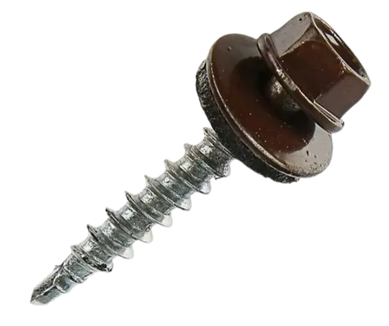 Remove-bg.ai_1755764840042